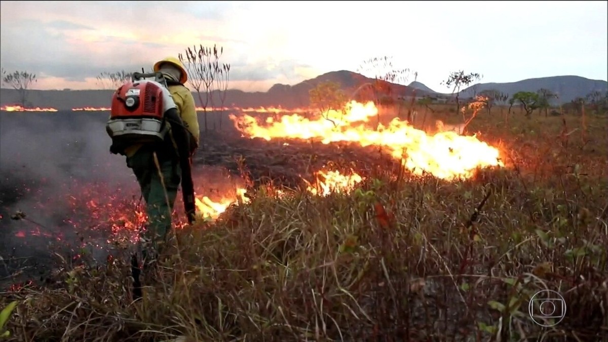 Veja o que já se sabe sobre o incêndio na Chapada dos Veadeiros Goiás