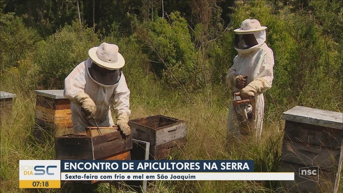 Encontro reúne apicultores e meliponicultores em São Joaquim Campo e