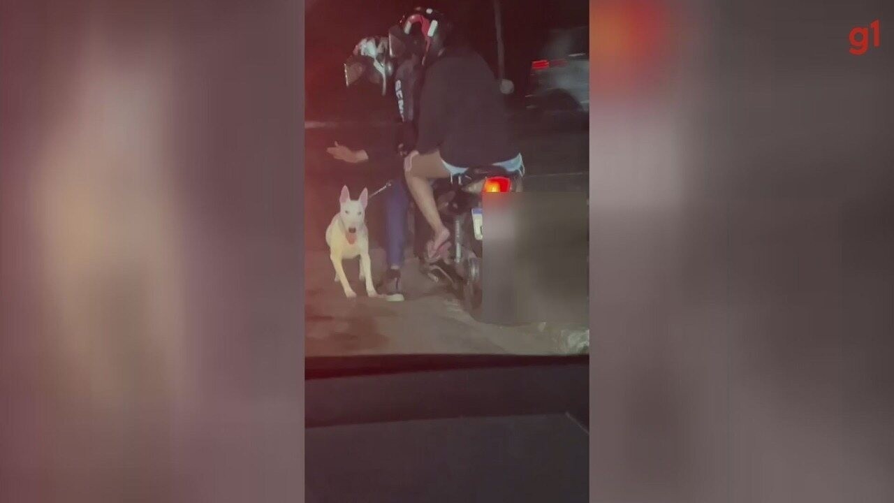 Homem agride cachorro e o obriga a correr a 40 km h atrás de moto em SP