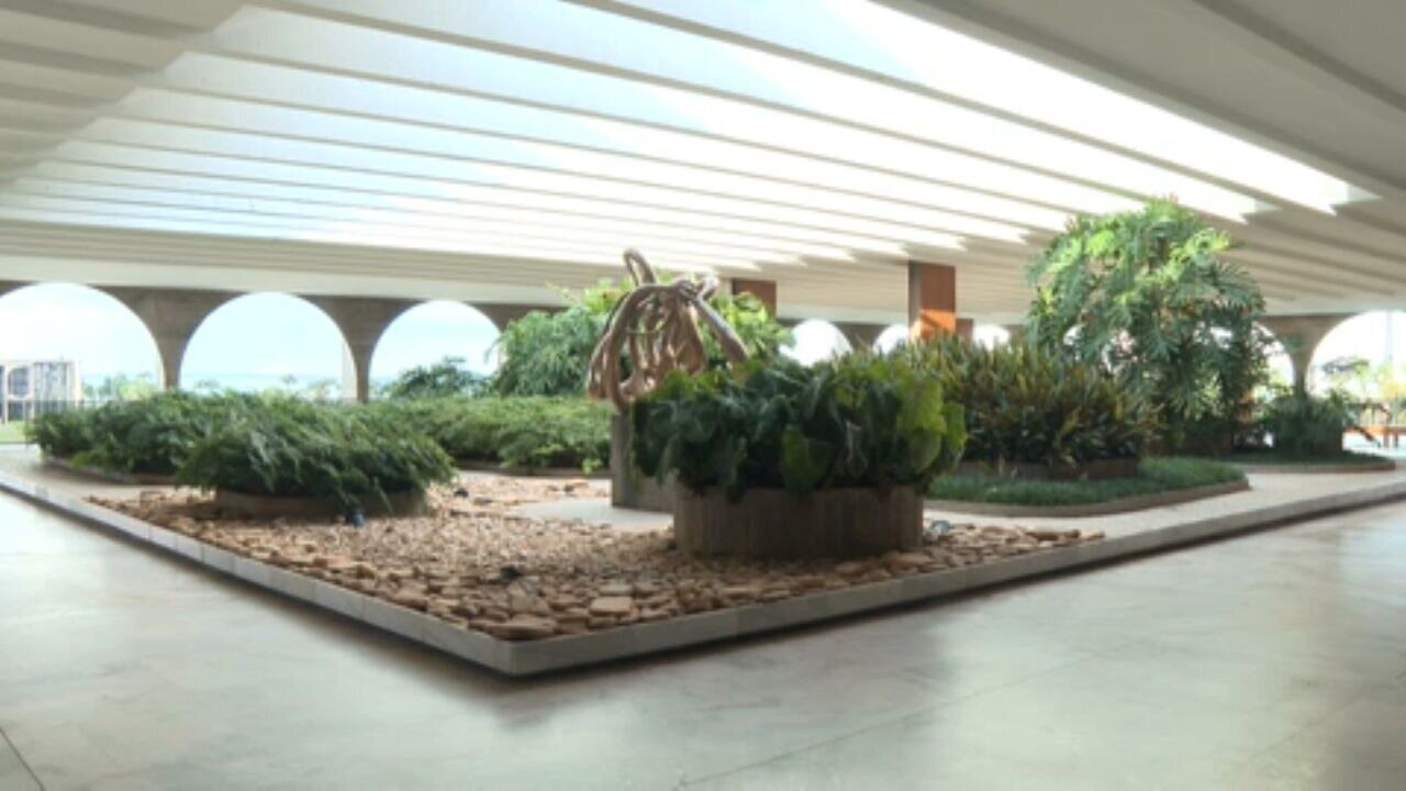 Conhe A O Jardim Secreto De Burle Marx No Terra O Do Itamaraty Em