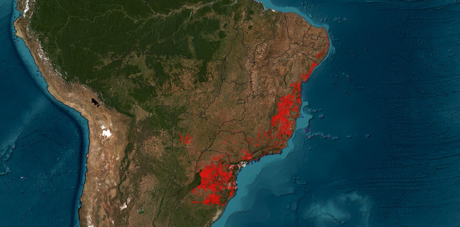 Desmatamento na Mata Atlântica cai 59 nos primeiros oito meses de 2023