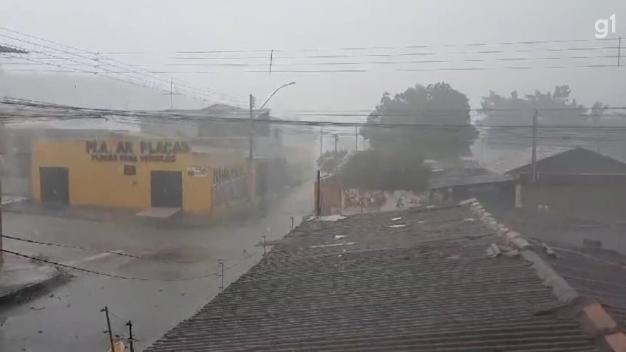 Chuva Causa Alagamentos E Queda De Rvores E Postes No Df Veja V Deo E