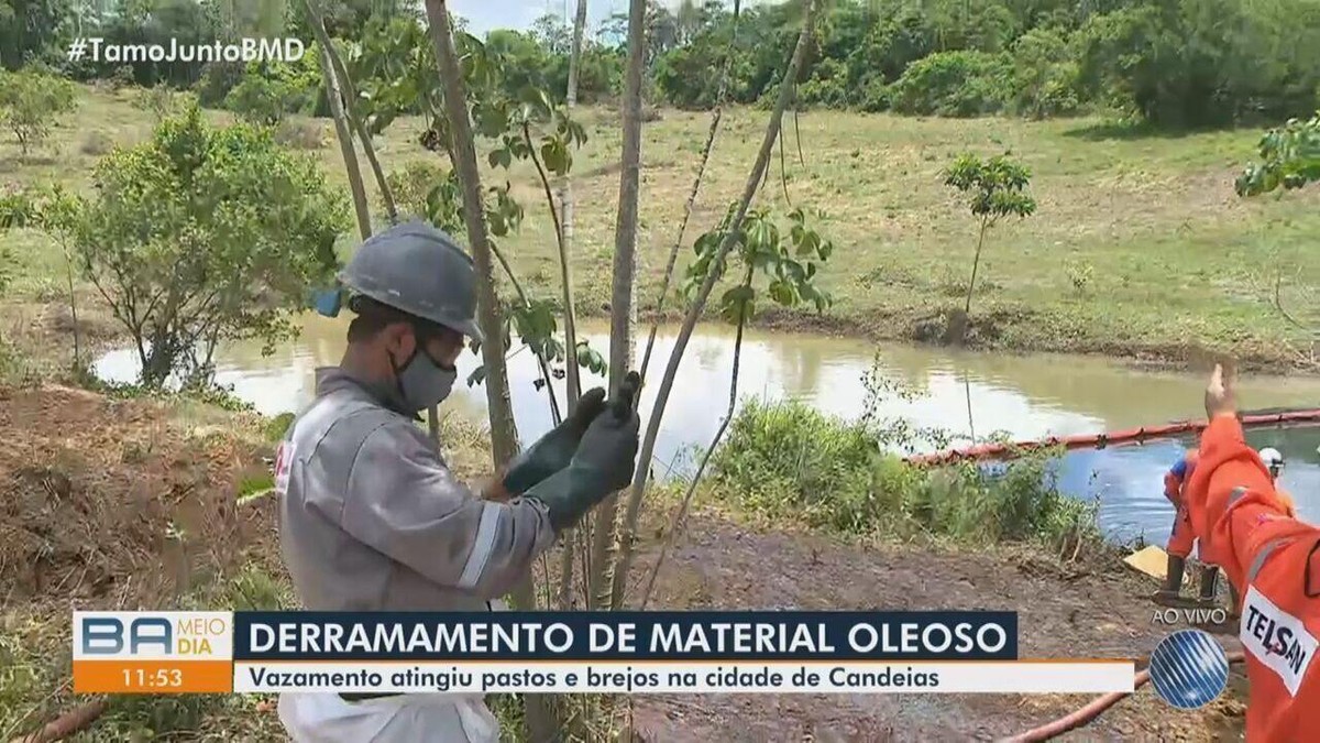 Vazamento De Leo Em Duto Da Petrobras Atinge Rua E Pastos Em Candeias