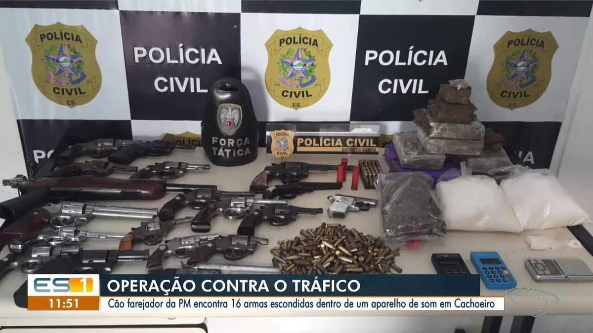 Cão farejador Messi da Polícia Militar ajuda a encontrar drogas e