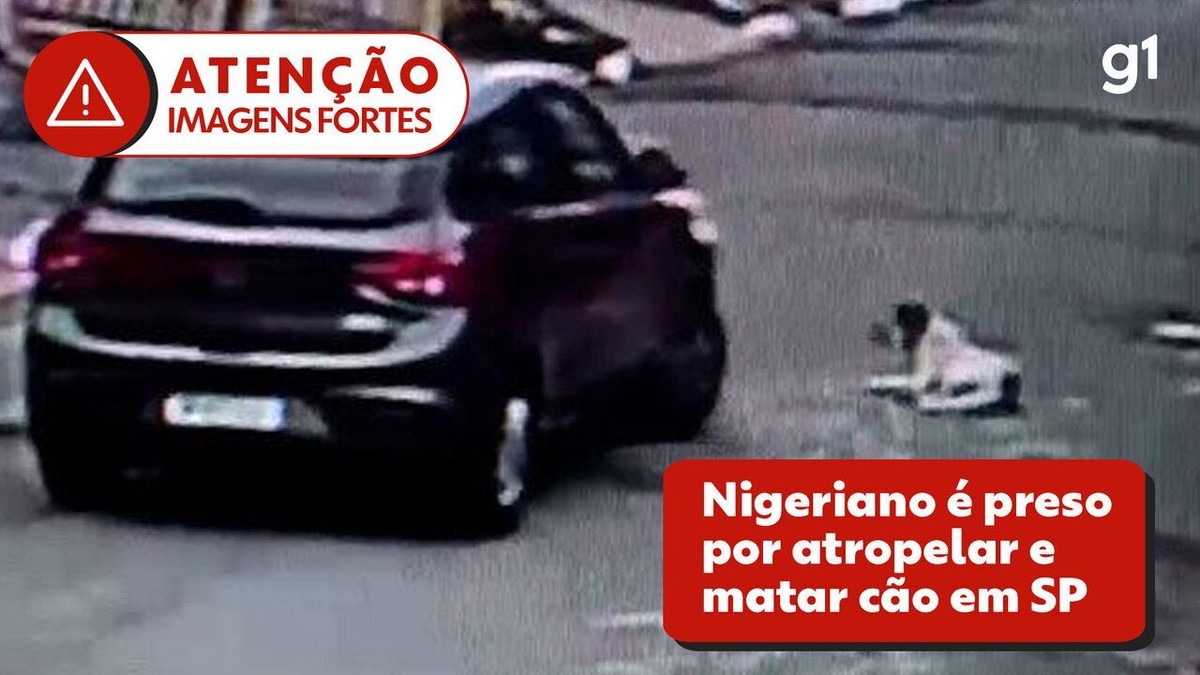 Vídeo mostra cachorro sendo atropelado por motorista na Zona Leste de