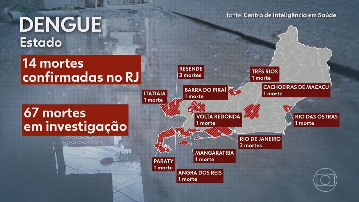 Sobe Para O N Mero De Mortes Por Dengue No Rj Outros Bitos