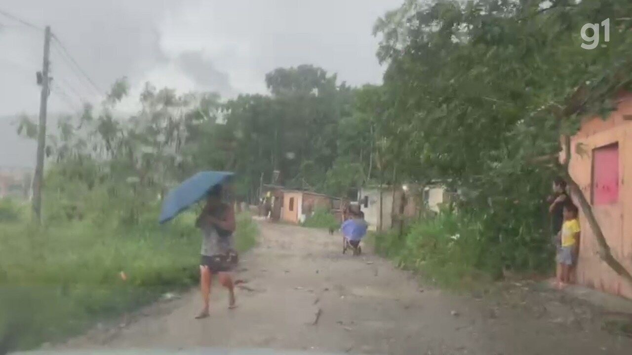 Chuva Volta A Atingir O Litoral De Sp Ap S Trag Dia E Defesa Civil