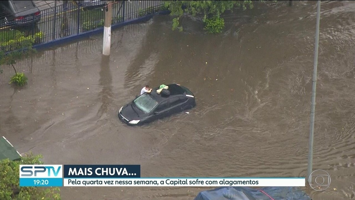 Chuva alaga vias de SP transborda córregos e derruba árvores São