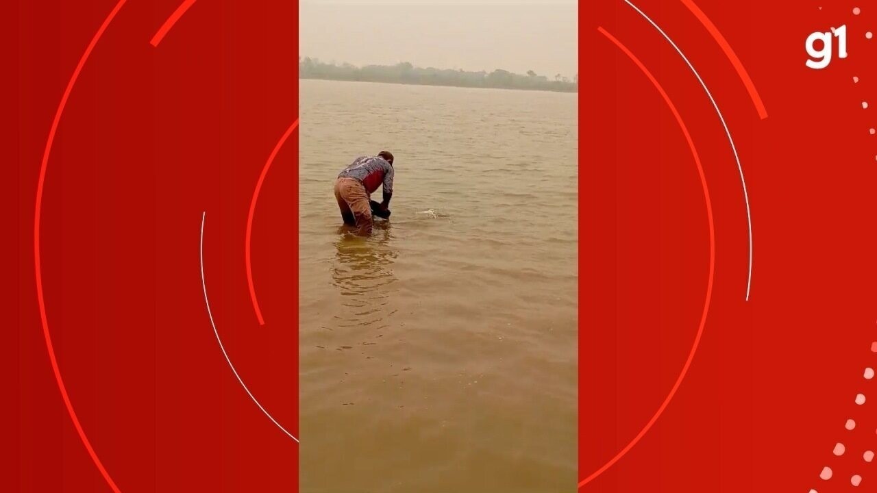 Pescadores Salvam Mais De Peixes Sufocados Em Lama Al No Rio