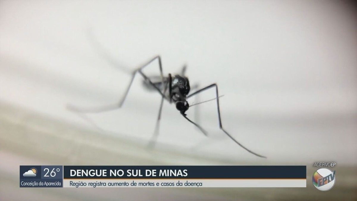 Mortes Confirmadas Por Dengue Sobem Para No Sul De Minas Casos