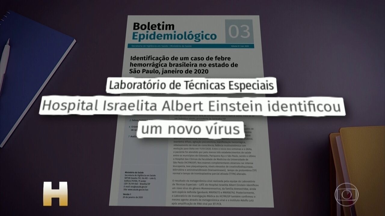 Governo confirma 1ª morte por febre hemorrágica após 20 anos Sorocaba