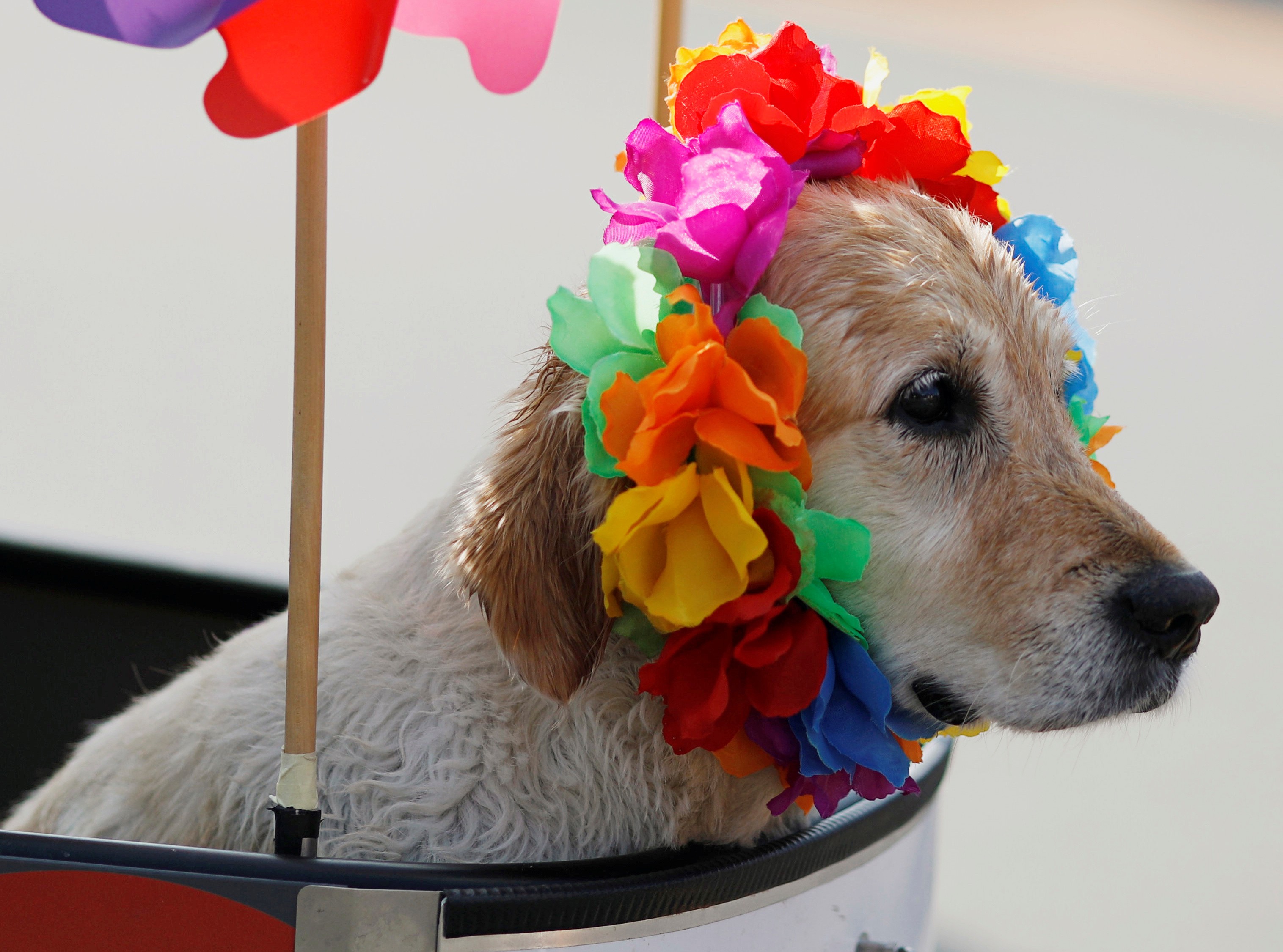 Milhares participam da Parada Gay em Berlim Varsóvia tem ato em apoio a LGBTs Mundo G1