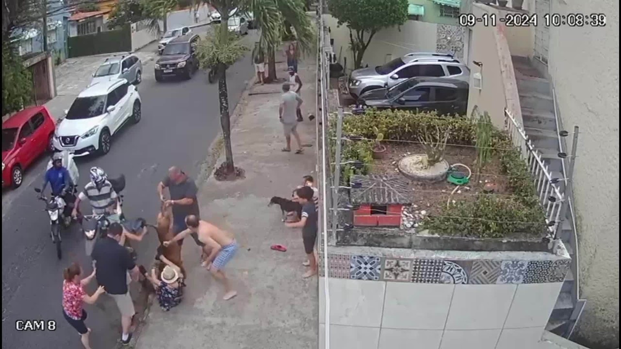 Pitbull solto na rua invade casa e ataca poodle no Recife VÍDEO