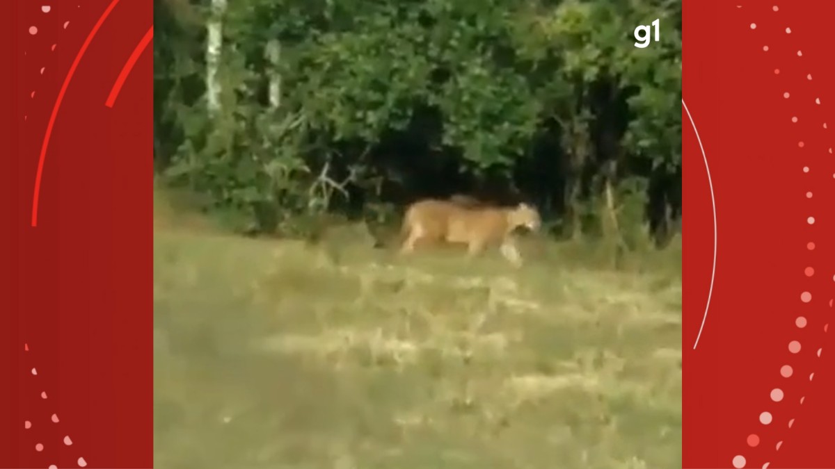 V Deo On A Parda Flagrada No Parque Estadual Vila Velha Registro