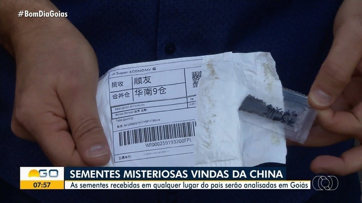 Minist Rio Da Agricultura Analisa Sementes Misteriosas Que Brasileiros