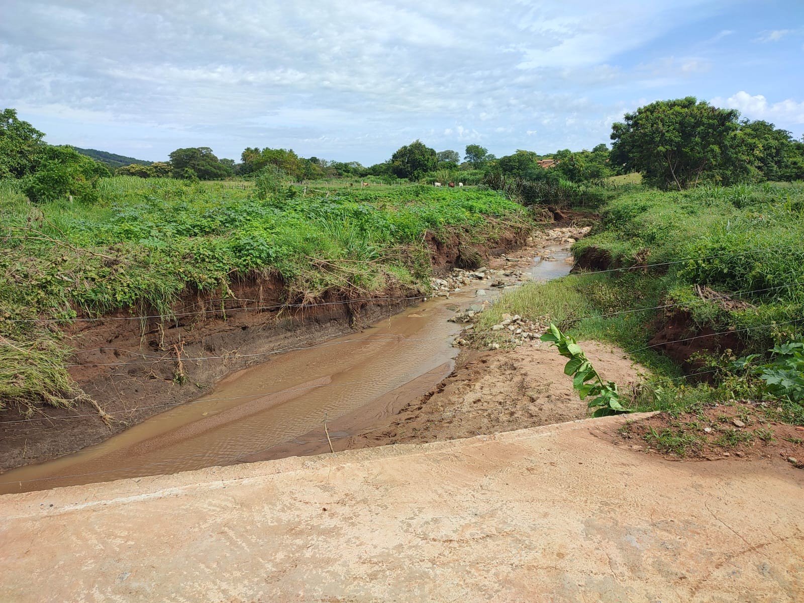 Morador Da Zona Rural De Anos Se Afoga Enquanto Seguia Para Pegar