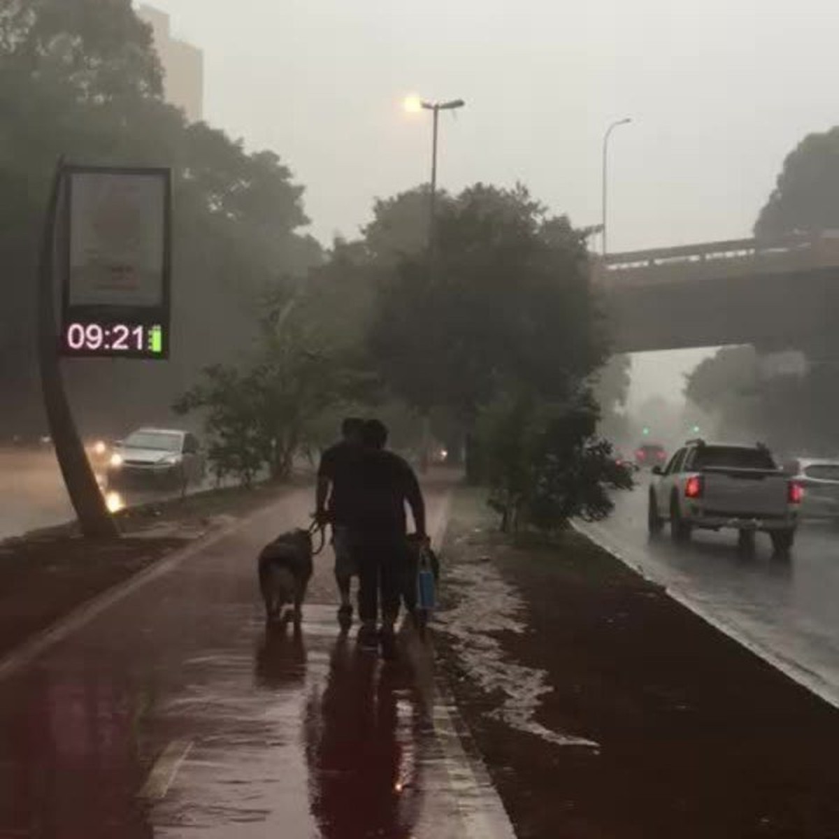 Chuva forte rajadas de vento faz SP entrar em estado de atenção