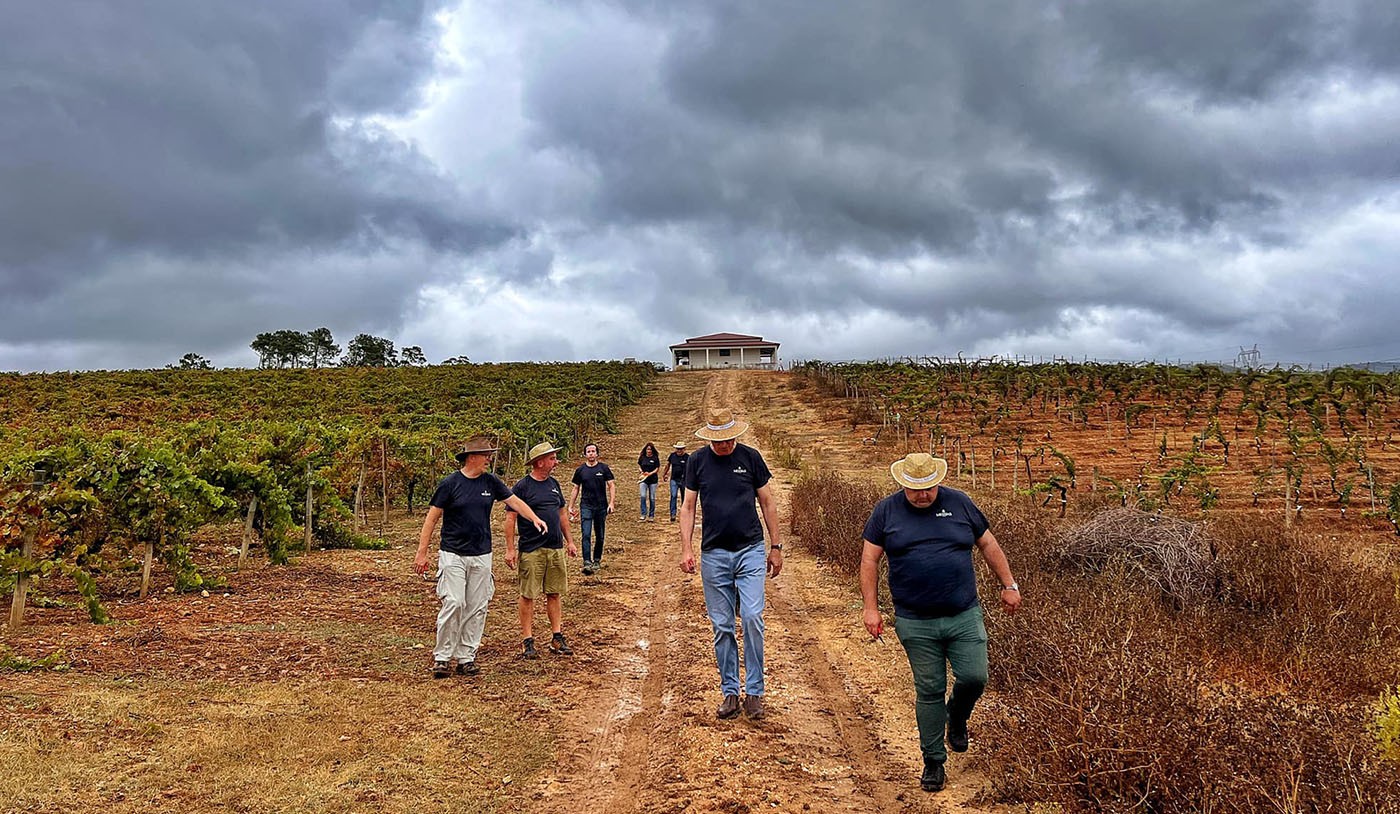 5 regiões vinícolas para você descobrir Guia do Vinho e da