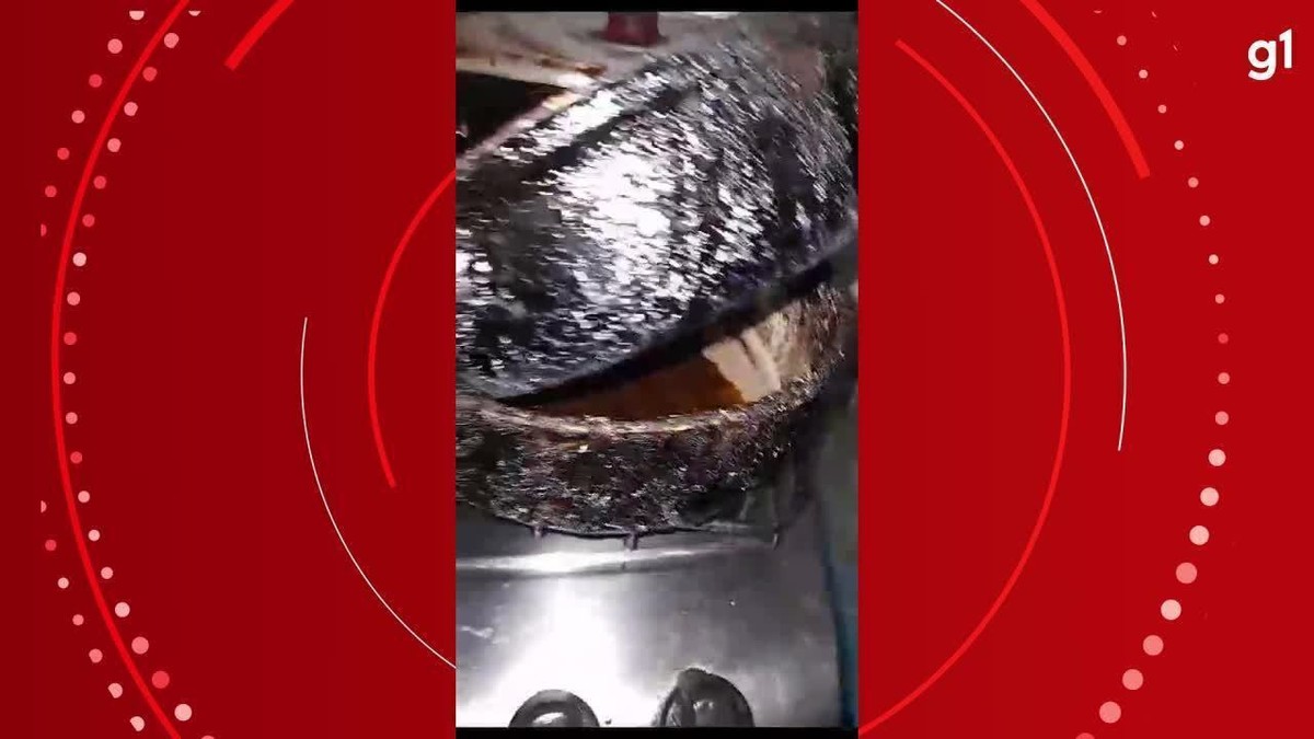 V Deo Baratas Na Cozinha Lixo Perto De Mesas E Forro De Teto