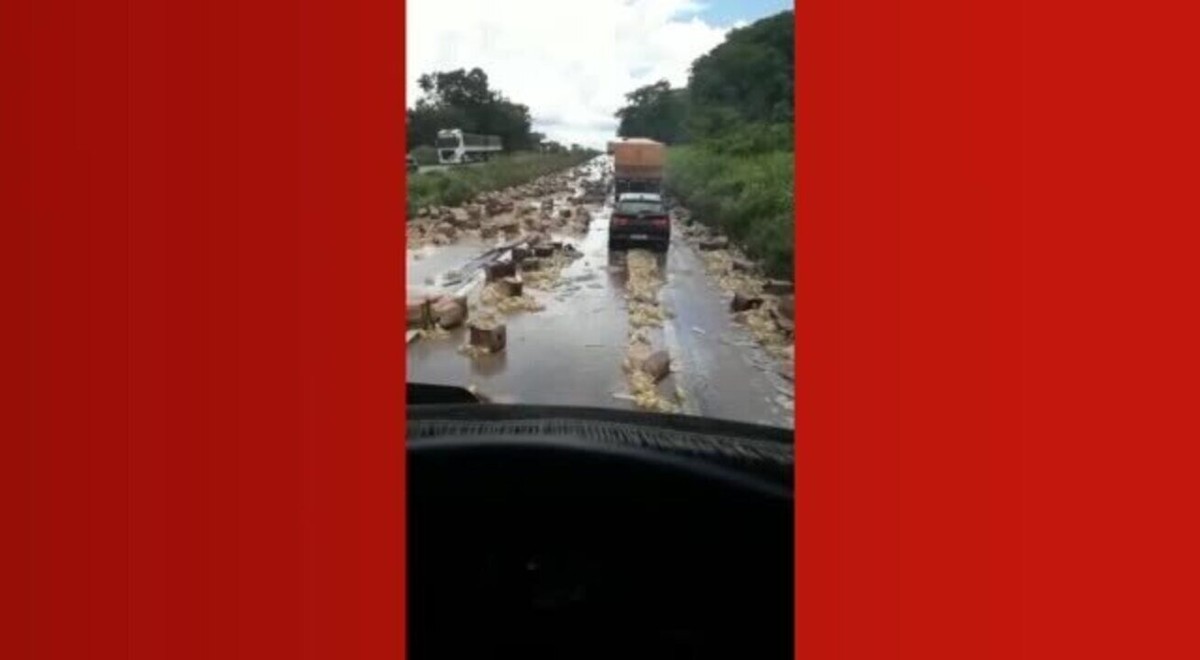 Carreta Carregada Leo Vegetal Tomba Na Serra De S O Vicente Mt