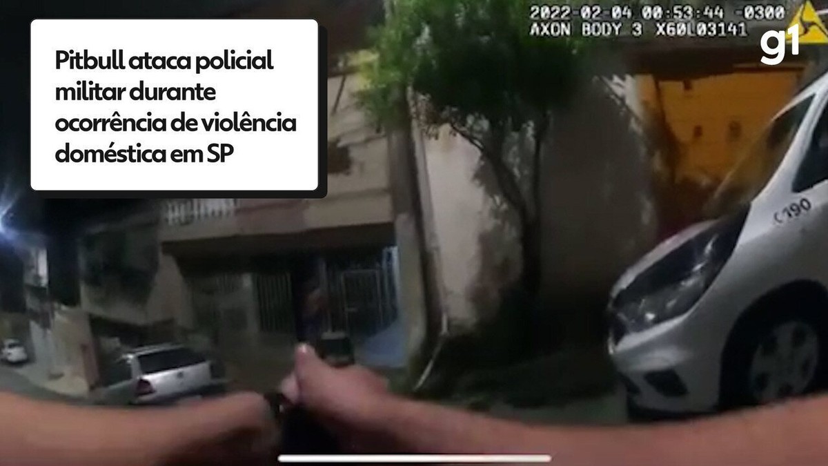 Homem Preso Por Agredir Mulher E Soltar Pitbull Para Atacar Policiais