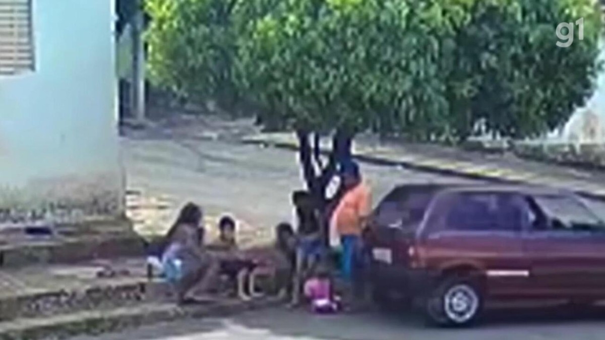 Crian A De Um Ano E Av S O Atropelados E Motorista Tenta Fugir V Deo