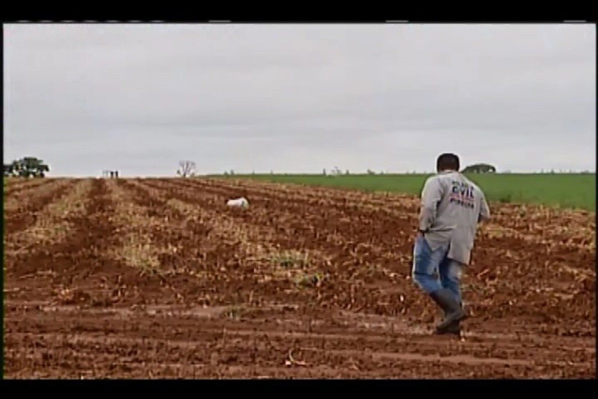 Perícia é realizada em área de MG onde duas pessoas morreram atingidas