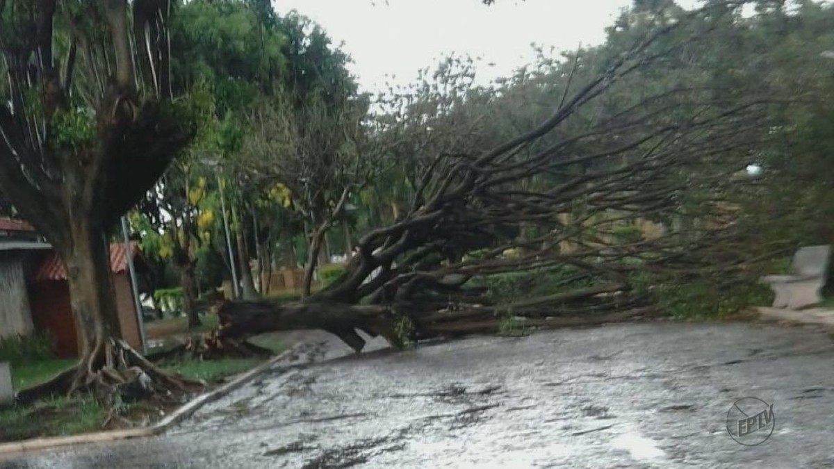 Chuva Forte Causa Transtornos Em S O Carlos Pirassununga E Tamba