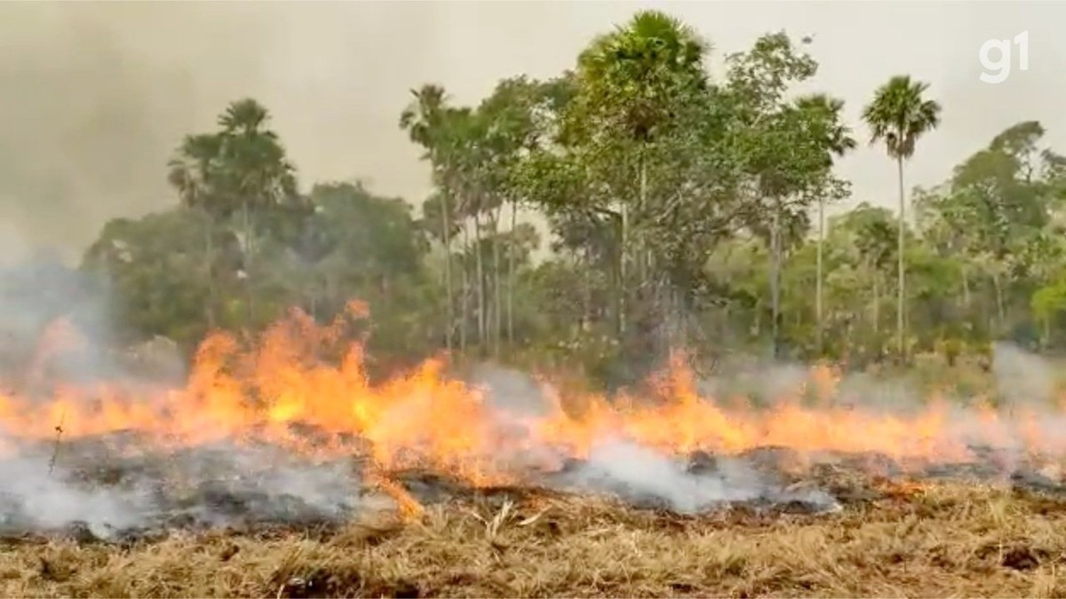 média de 445 focos por dia incêndios no Pantanal de MS já