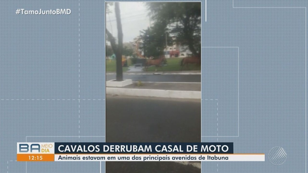 V Deo Cavalos Soltos Em Avenida No Sul Da Bahia Correm E Atropelam