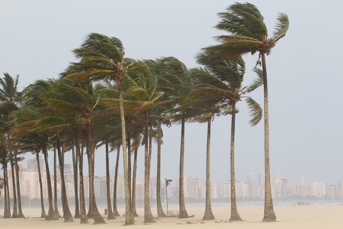 Marinha Faz Alerta Para Ventos De At Km H No Litoral Norte De Sp