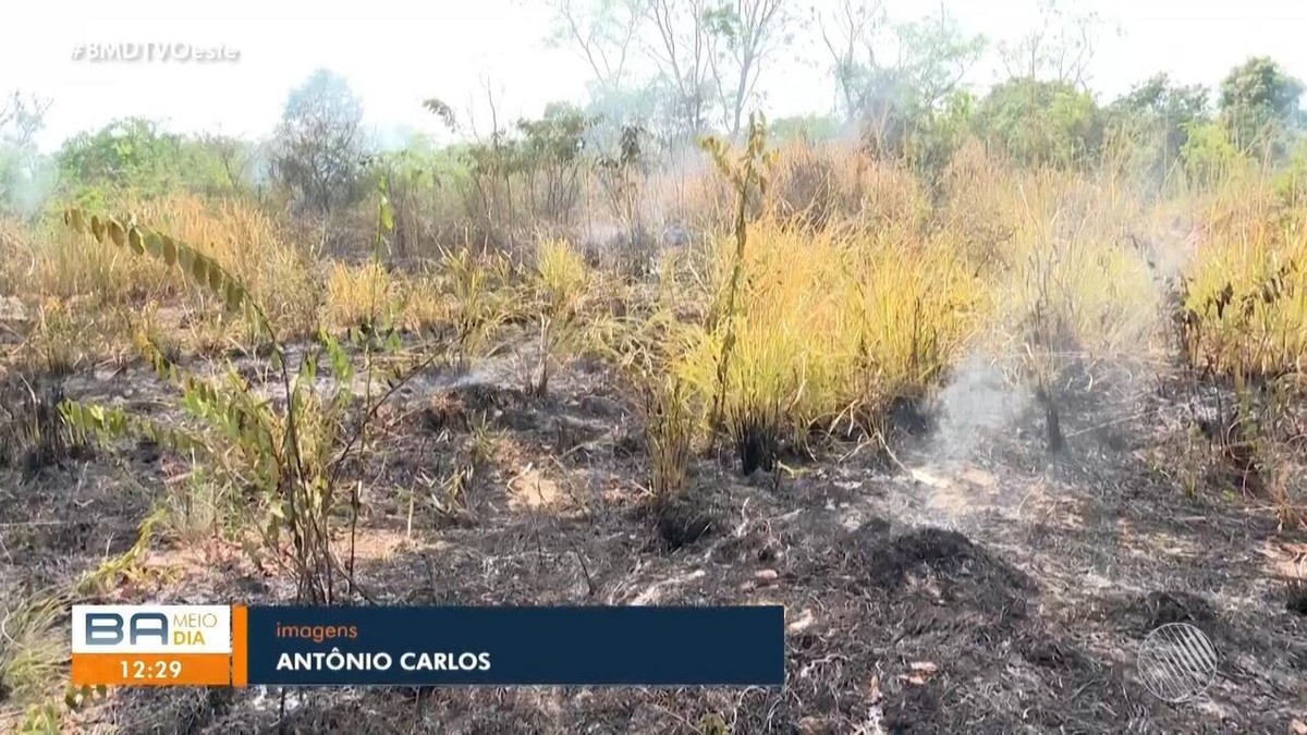 Homem é preso suspeito de atear fogo em área de vegetação no oeste da