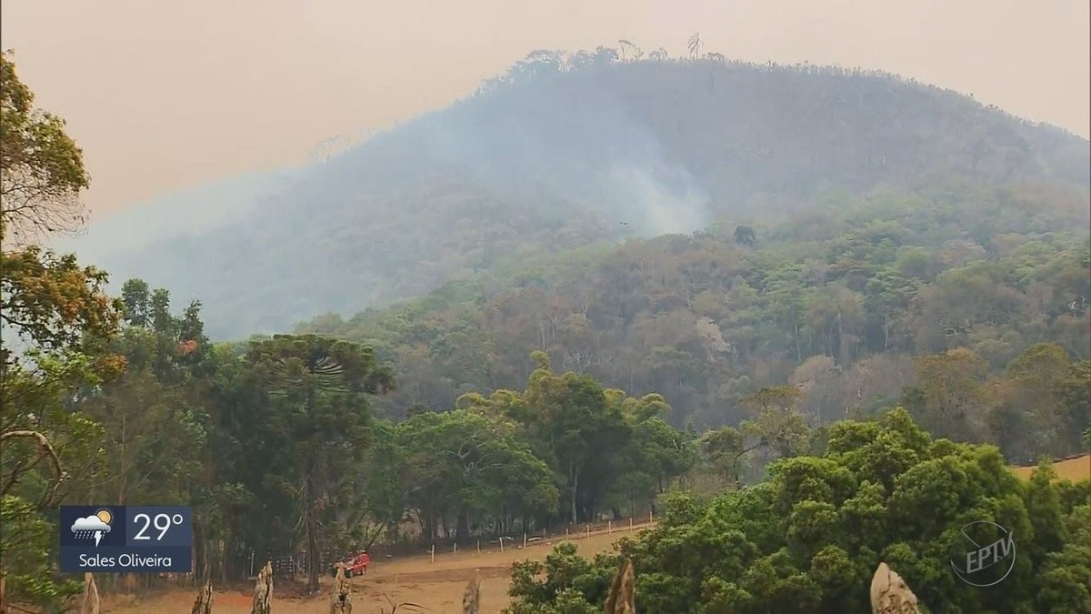 Polícia vai investigar causas de incêndio em vegetação que matou