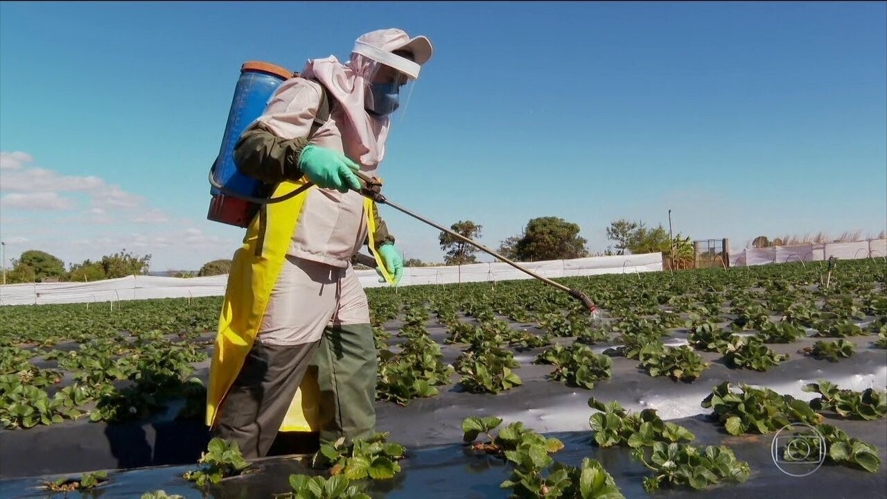 Entenda o que muda na classificação dos agrotóxicos pela Anvisa