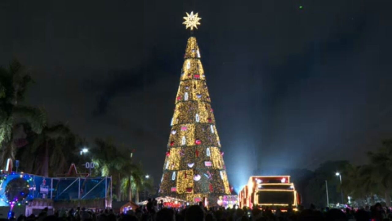 Rvore De Natal Oficial De S O Paulo Inaugurada No Parque Villa Lobos