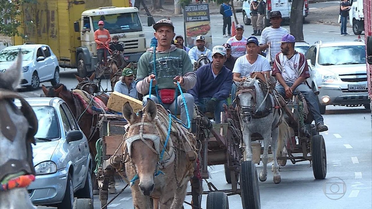 Carroceiros Protestam Na C Mara Municipal De Bh Contra Projeto Sobre