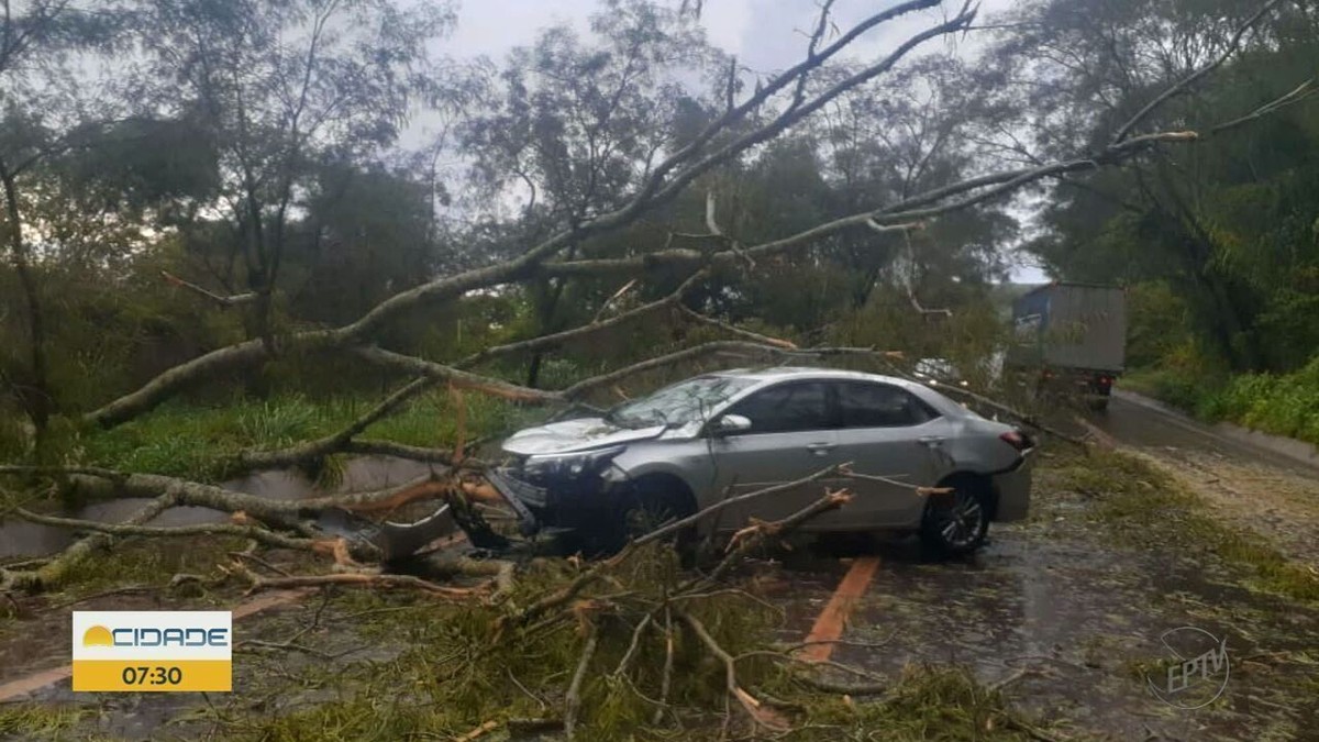 Chuvas e ventos de até 80 km h causam estragos na região de Ribeirão