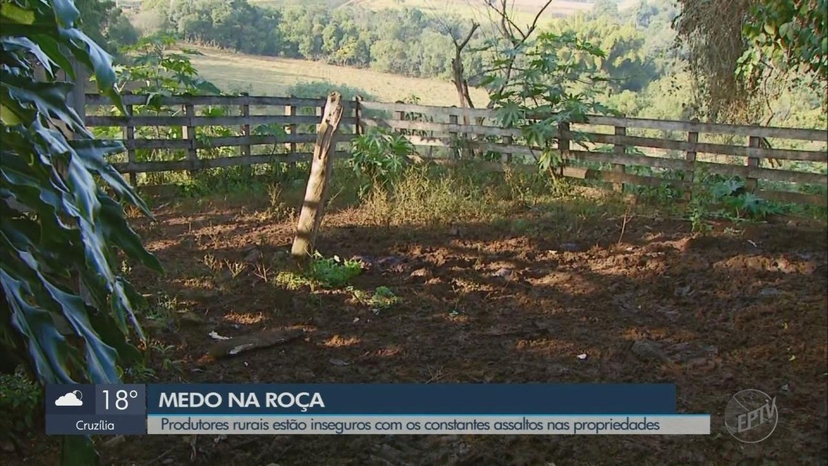 Moradores Da Zona Rural Convivem Medo De Furtos E Roubos Em Pouso