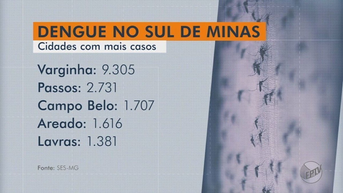 Dengue Sul De Minas Tem Novas Duas Mortes E J Passa Dos Mil Casos