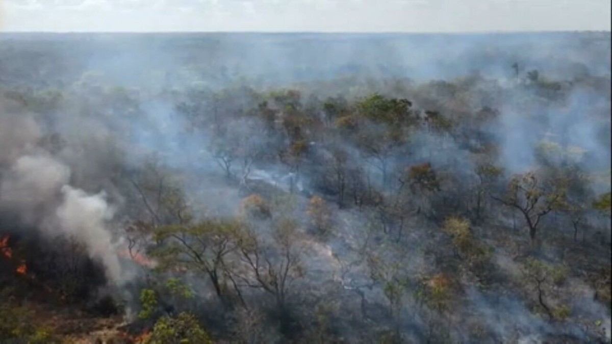 Queimadas Destroem Grandes Reas De Cerrado No Maranh O Globo Rural G