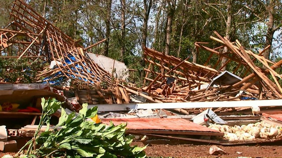 Temporal provoca destelhamentos e derruba árvores na área rural de