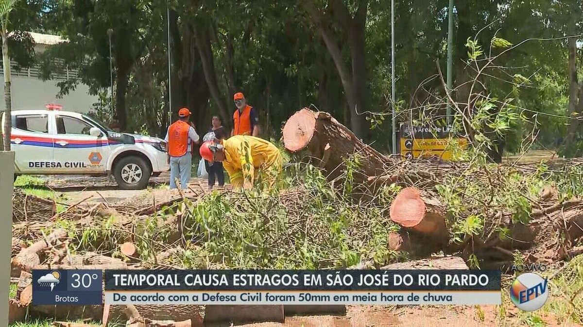 Chuva De Meia Hora Derruba Rvores Em S O Jos Do Rio Pardo E Deixa