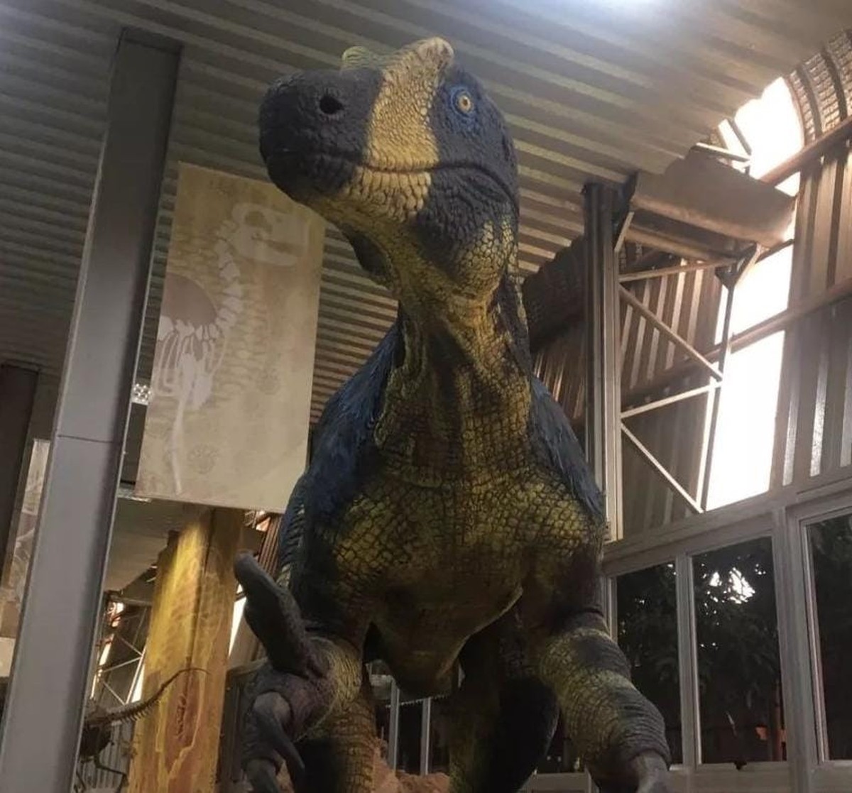 Actualizar Imagem Museu Dos Dinossauros Uberaba Pre O Br