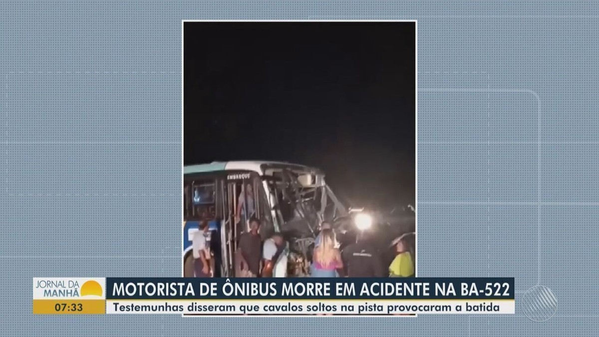 Motorista de ônibus morre após bater de frente carro na Bahia