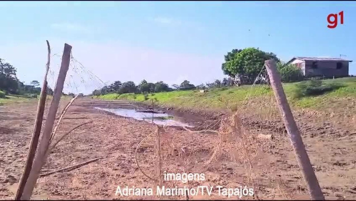 Prefeito De Santar M Decreta Situa O De Emerg Ncia Por Estiagem No