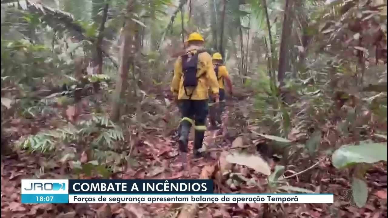 Ovos de jacaré que seriam vendidos ilegalmente são apreendidos durante