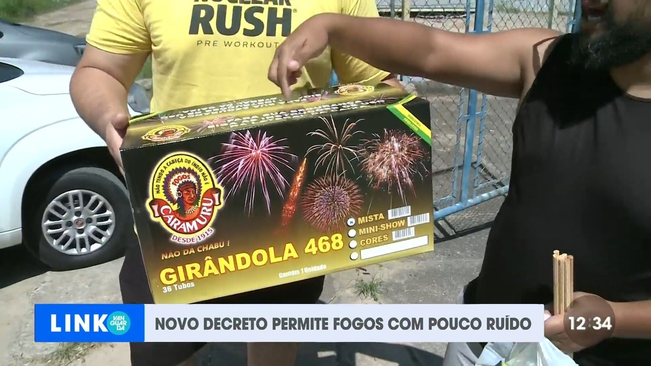 Confira Dicas Para Proteger Seu Pet Do Barulho Dos Fogos De Artif Cio