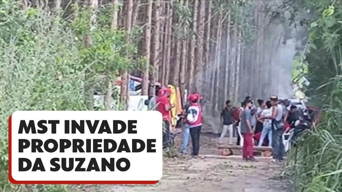 Justi A Determina Reintegra O De Posse De Fazenda Da Suzano Invadida