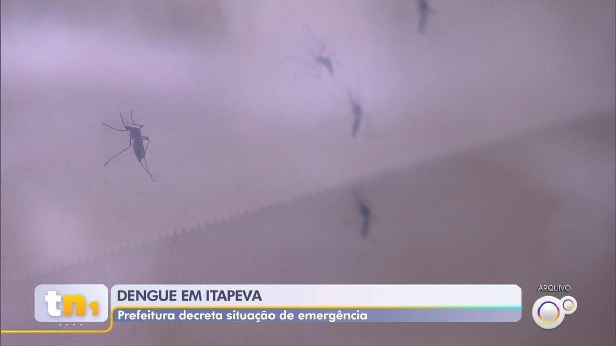 alta nos casos de dengue Itapeva decreta situação de emergência