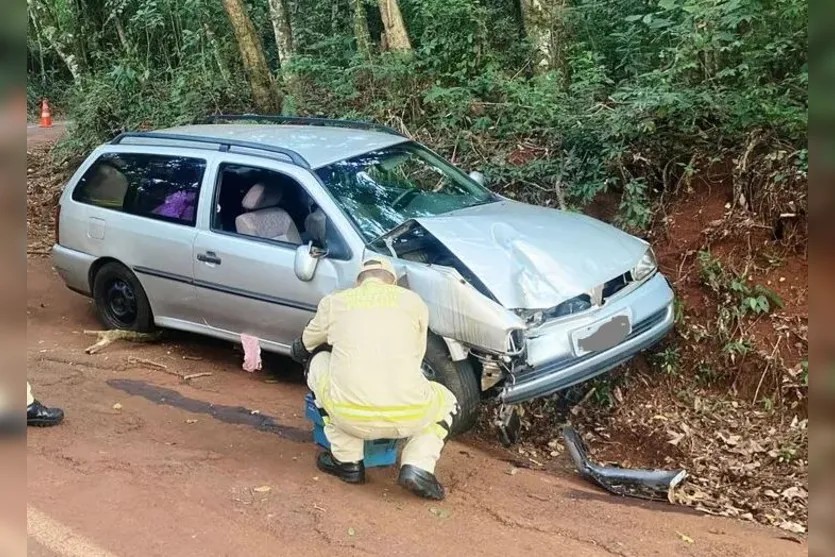 Mulher B Bada Presa Ap S Capotar Carro Seis Crian As Em Apucarana